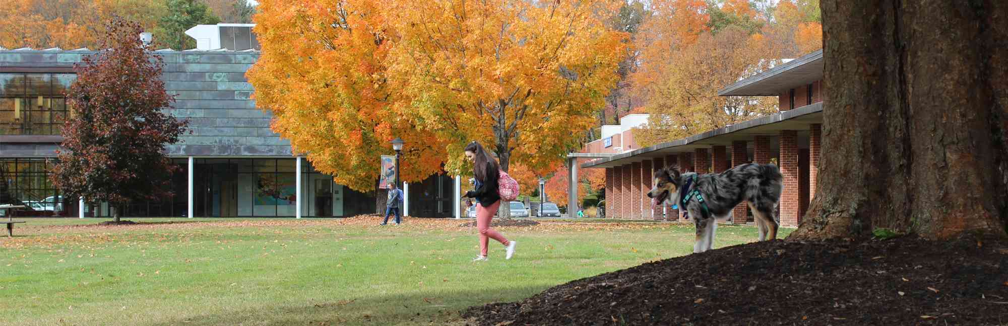 Landmark College Niche