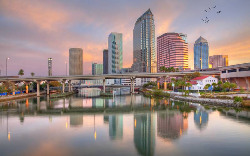 Tampa, FL Niche