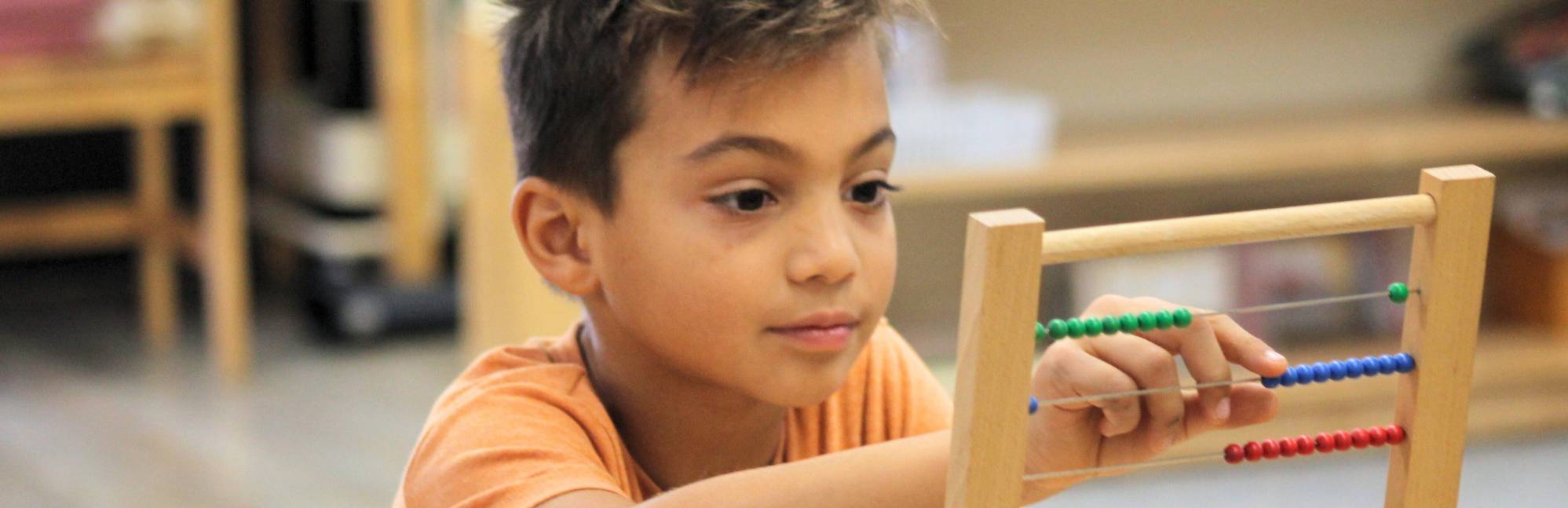 Montessori School of Northern Virginia - Hillbrook Campus in Annandale ...