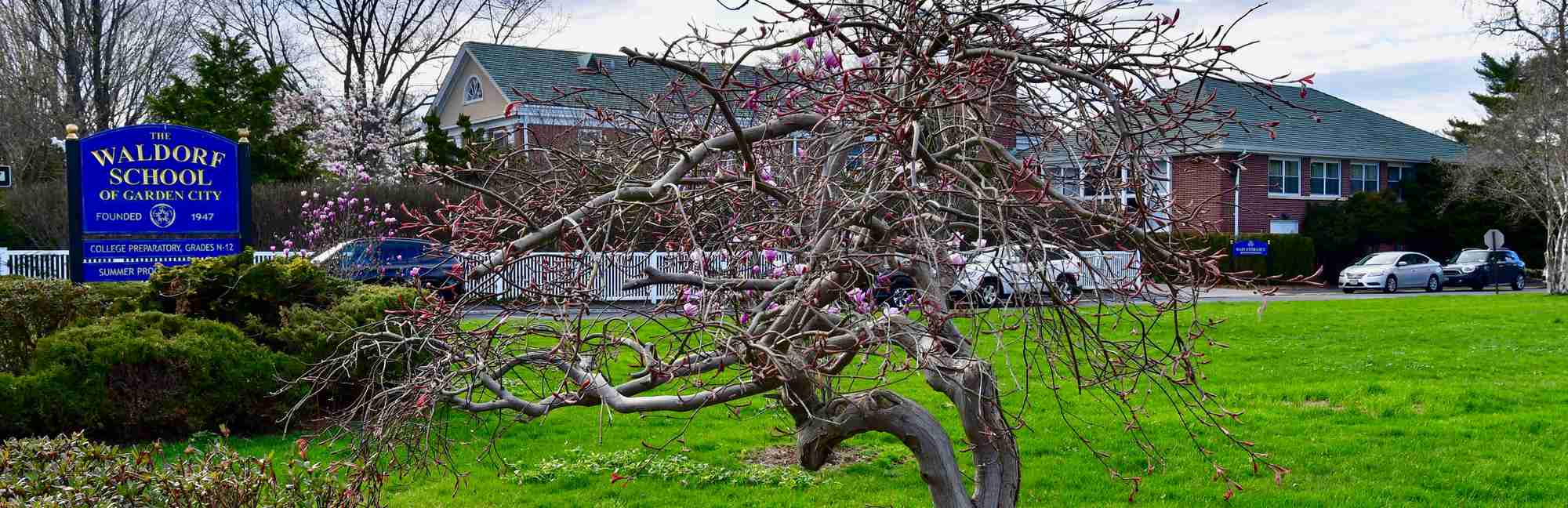 The Waldorf School of Garden City in NY Niche