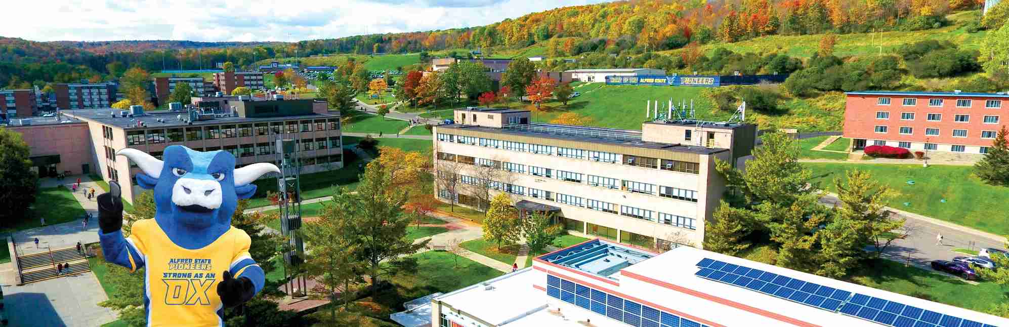 SUNY Alfred State College Niche