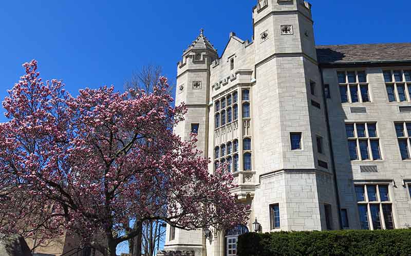 Youngstown State University - Niche