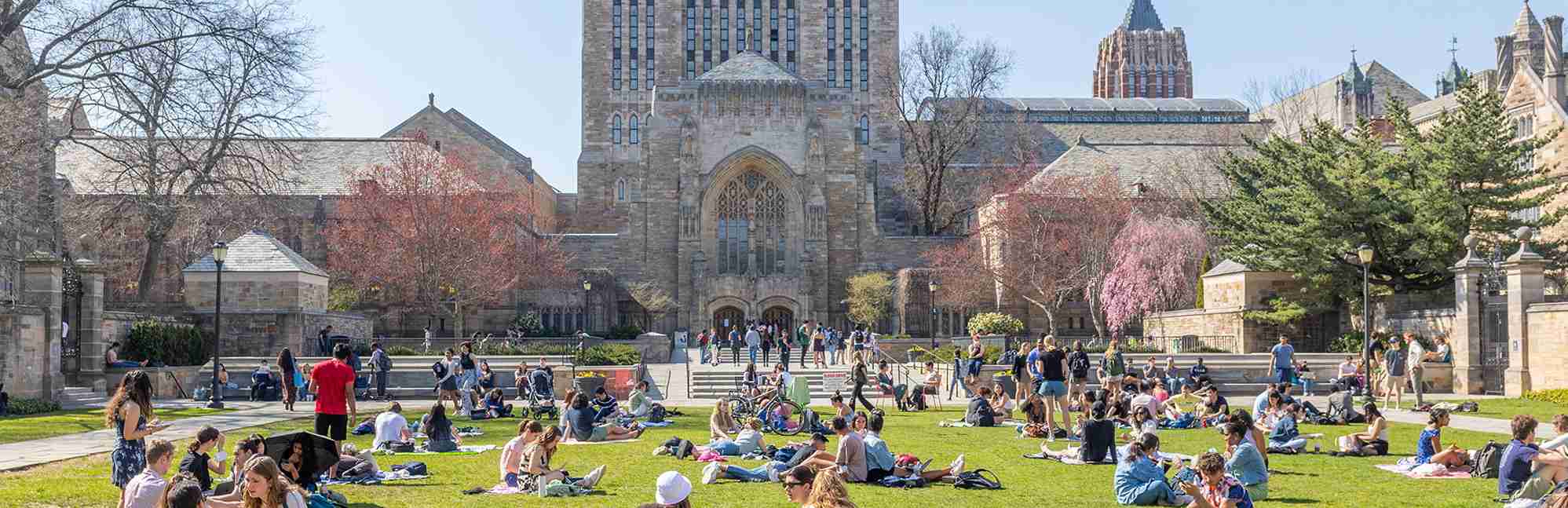 Yale College Campus