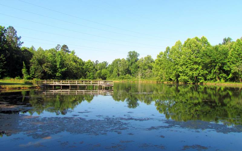 Chapel Hill, NC Niche