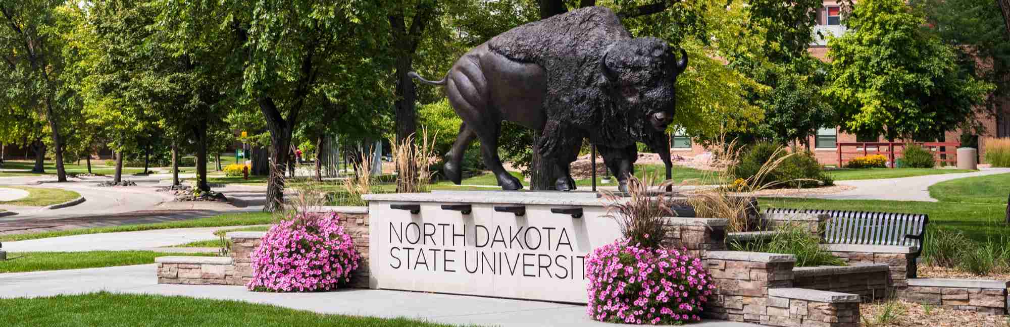 North Dakota State University Niche