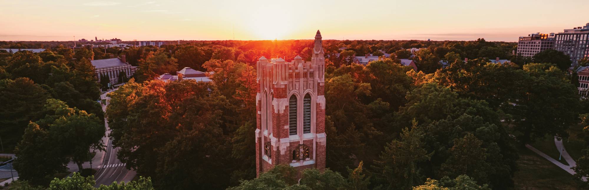 Michigan State University - Niche