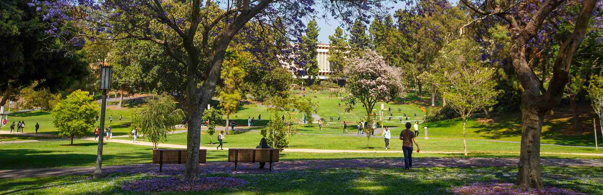 University of California Irvine Niche