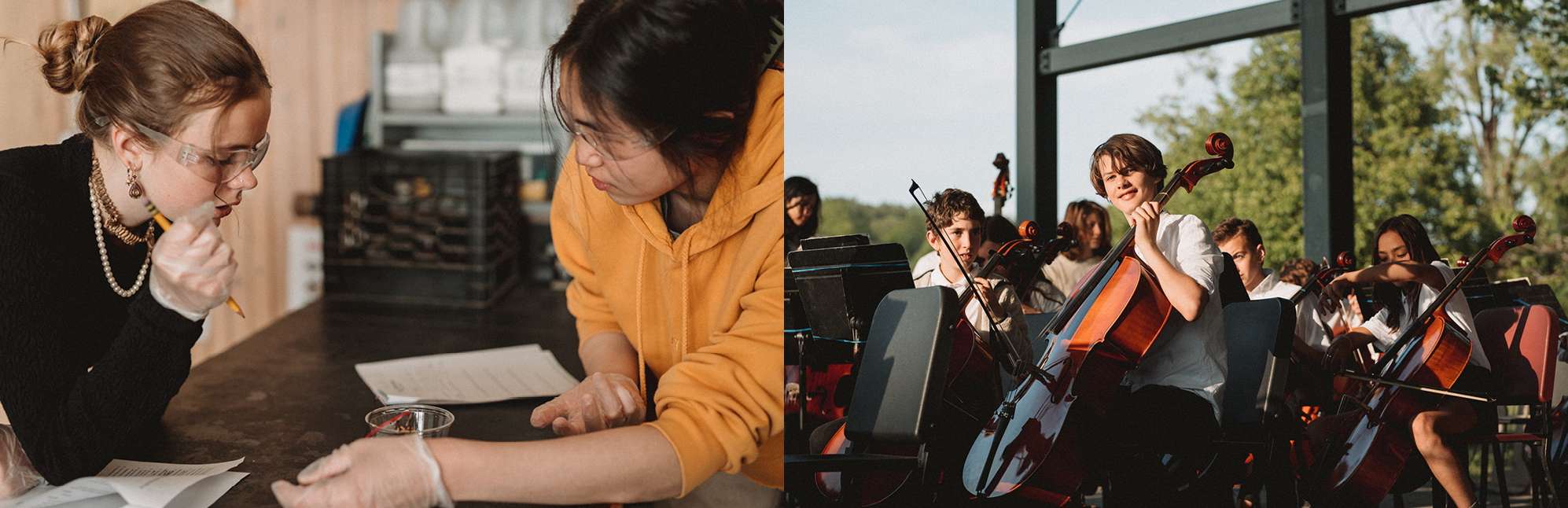 Hawthorne Valley Waldorf School in NY Niche