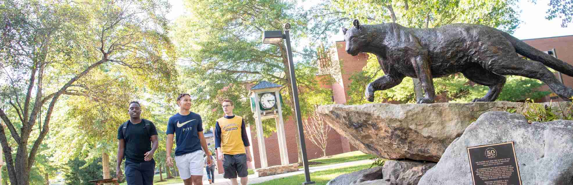 university-of-pittsburgh-bradford-acceptance-rate-admissions-info