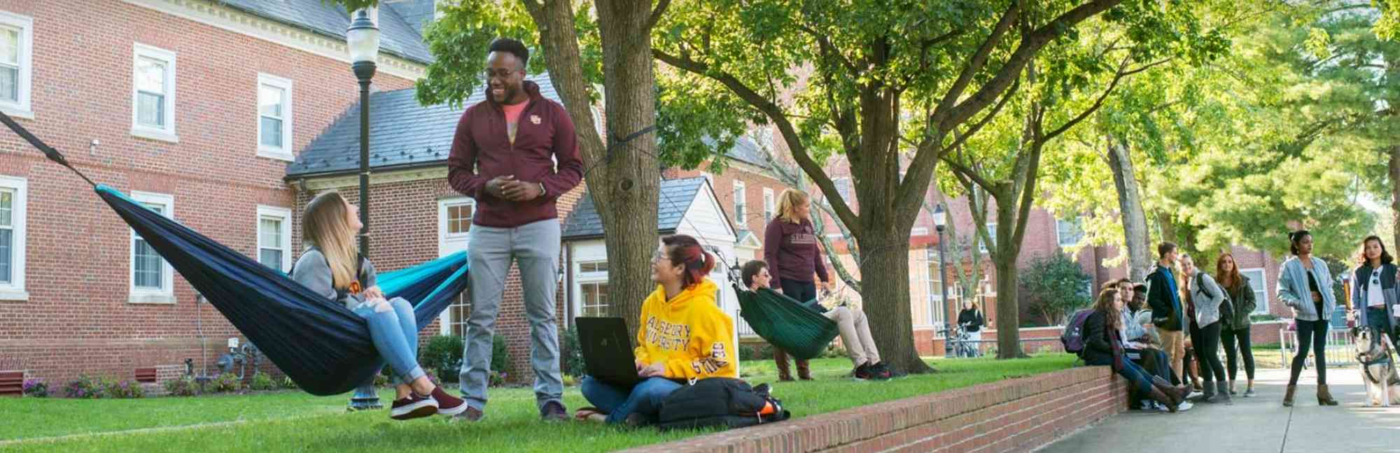 Salisbury University Niche