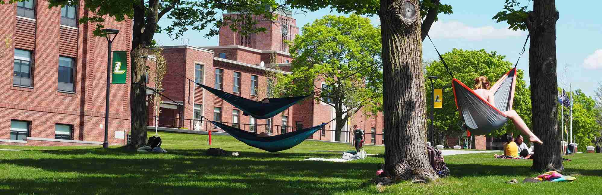 Le Moyne College Niche