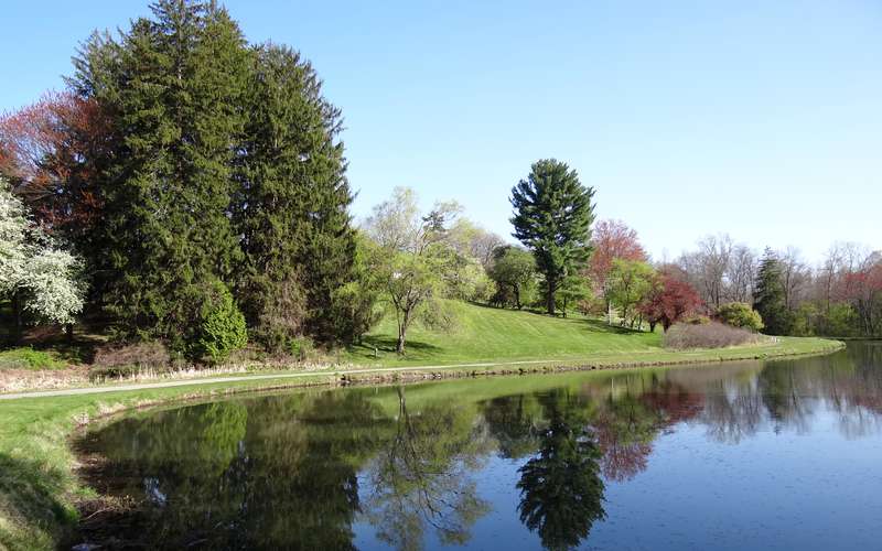 Vassar College Niche