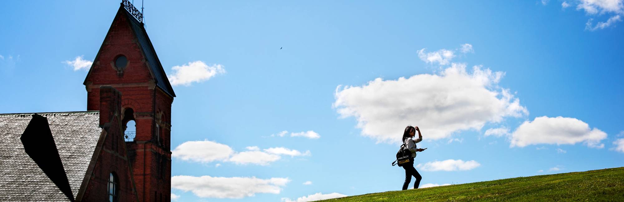 Cornell University Niche