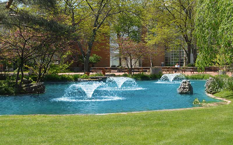 university-of-michigan-dearborn-niche