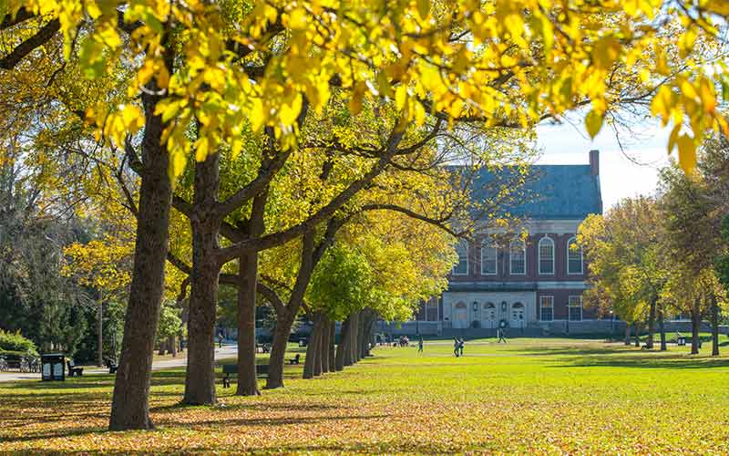 University of Maine Niche