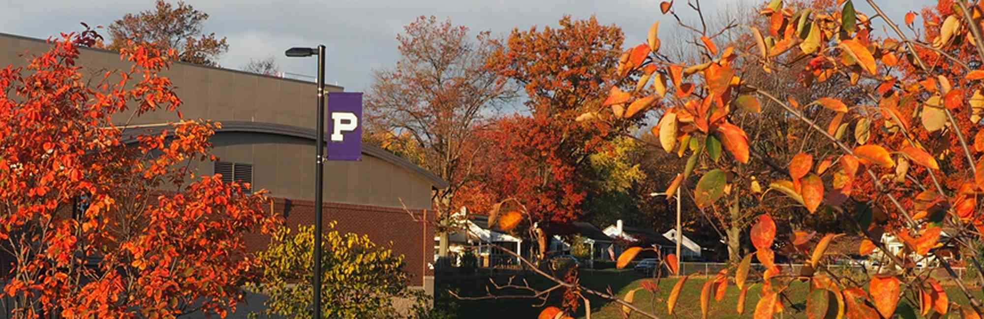 Phoenixville Area School District Pennsylvania Niche