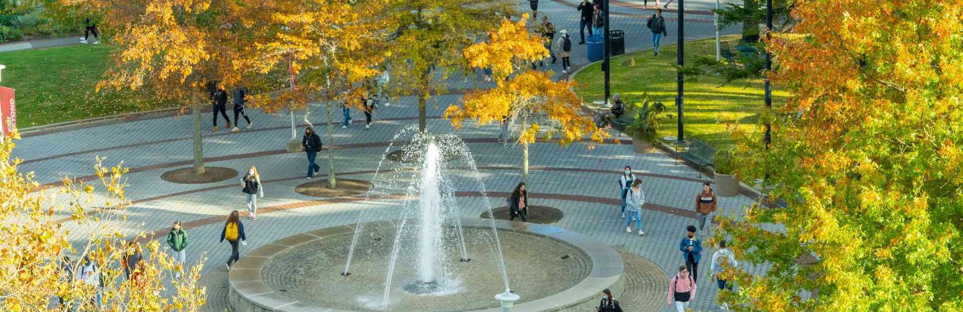 Stony Brook University, SUNY Niche